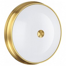 Накладной светильник odeon light marsei 4824-4c